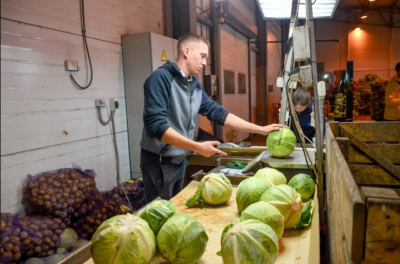 Аграрии Рязанской области получат компенсацию до 100% расходов на экспорт продукции