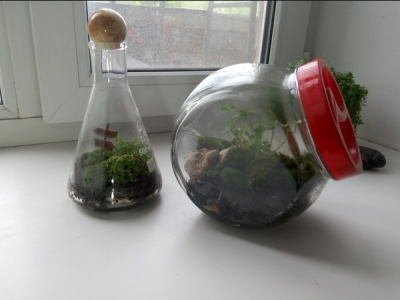 Лососи мешают медведям на Камчатке найти покой