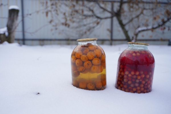 Почему нельзя хранить продукты в снегу или за окном: риски и последствия