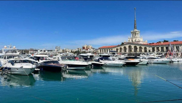 Хочешь, чтобы я это сделал?