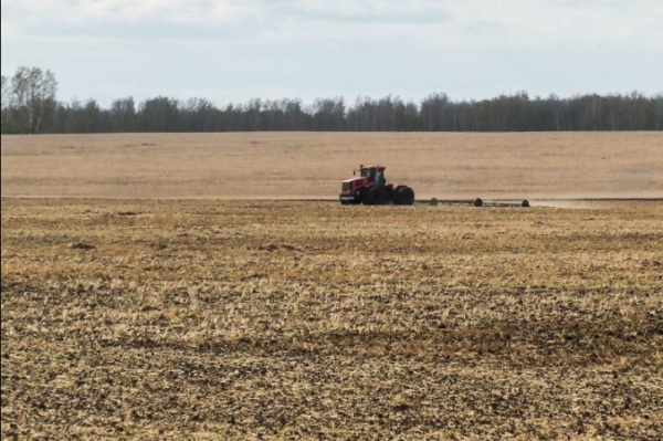 В Ставропольском крае откроется завод по глубокой переработке сельхозпродукции