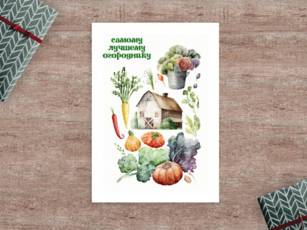 Правительство РФ подведет итоги уборки урожая 2025 года